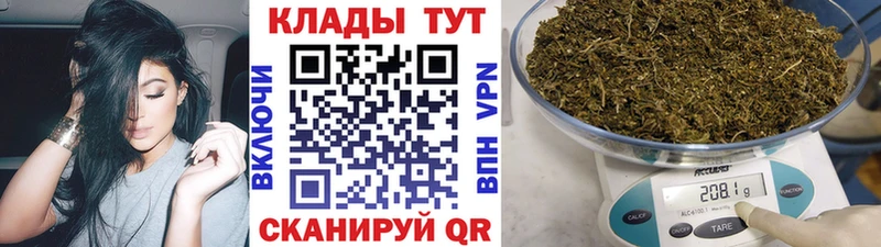 Купить закладку ГАШ  Бошки Шишки  Меф  Архангельск