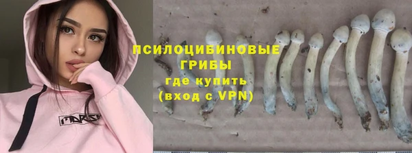 ECSTASY Осташков