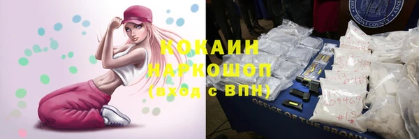 a pvp Няндома